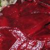  Rote-Beete-Salat  mit Apfel-Kokos-Dressing 