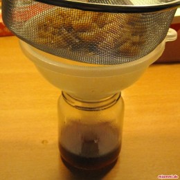 Zuletzt den Sirup abgießen (den kann man wenn man will aufbewahren) ...