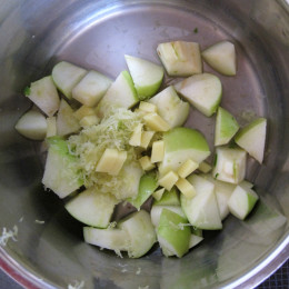 Den Apfel, die Zitronenzesten, den Ingwer und das Wasser in einen Topf geben und zugedeckt 5 min. kochen.